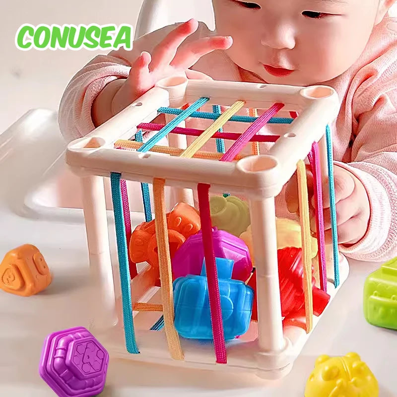 Montessori Baby Toys 18 Months Sensory Development Learning Educational Toys Colorful Blocks Sorting Game for Babies Infant